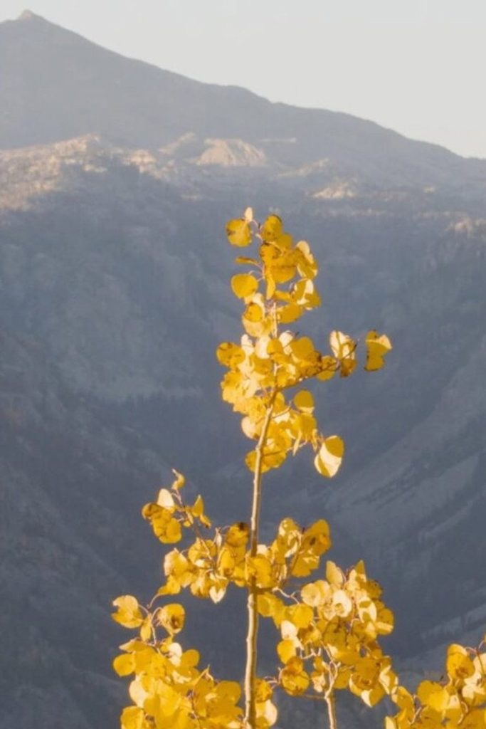 The Climate Change Volumes: Fall