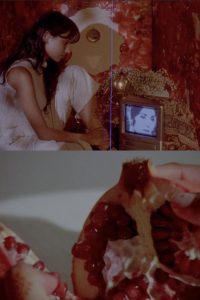 what does it feel like to live inside a pomegranate?